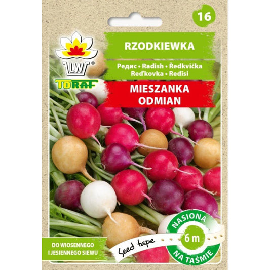 LENTE Redīsi MIX dažādas šķirnes 6m