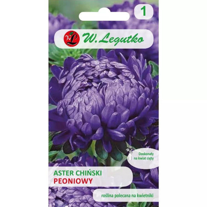 Asteres peoniju tumši violetas 1g