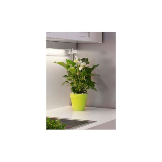 Puķu pods MITU salātzaļš 18cm