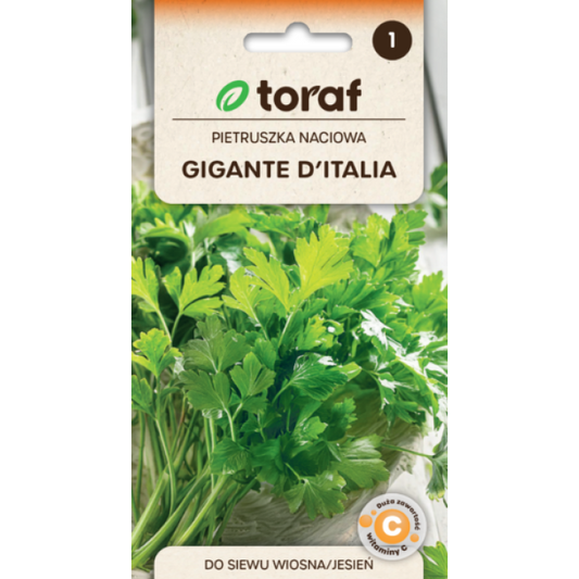 Pētersīļi lapu Gigante de Italia 2g