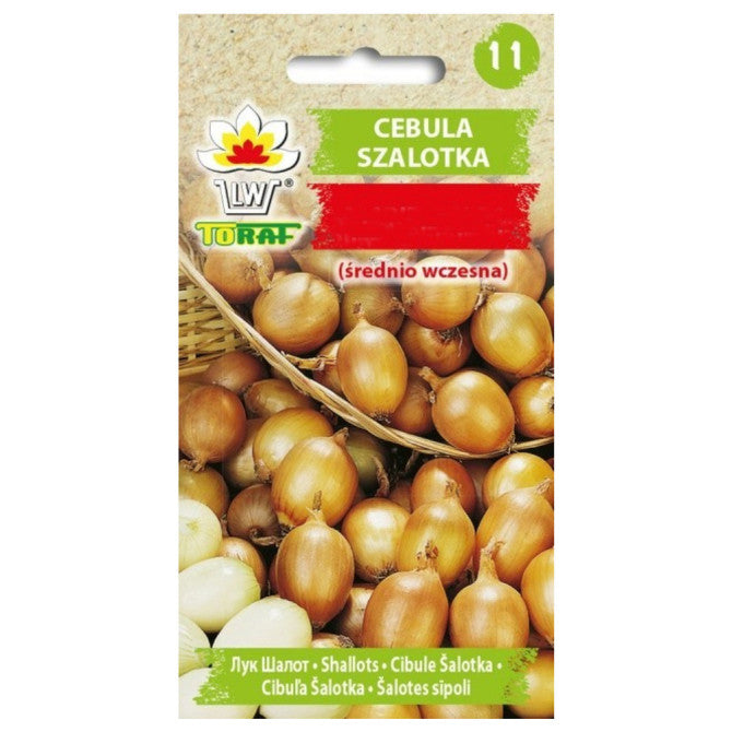Sīpoli Szalotka/Conservor F1 20 sēklas
