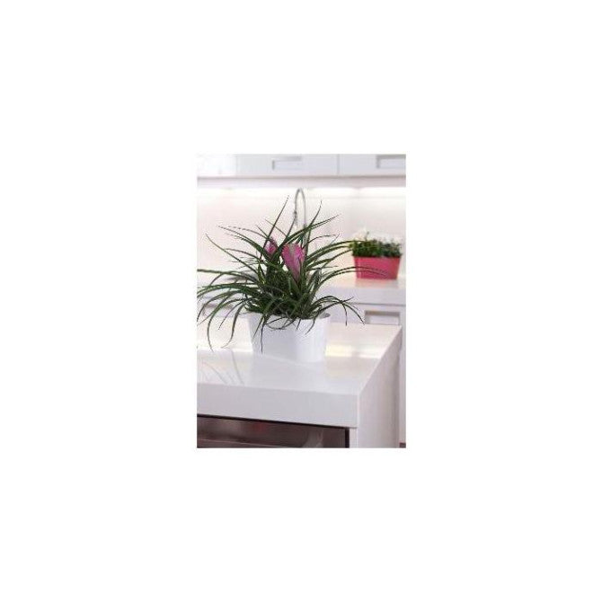 Puķu pods - augu kaste CLIVO balts 28cm