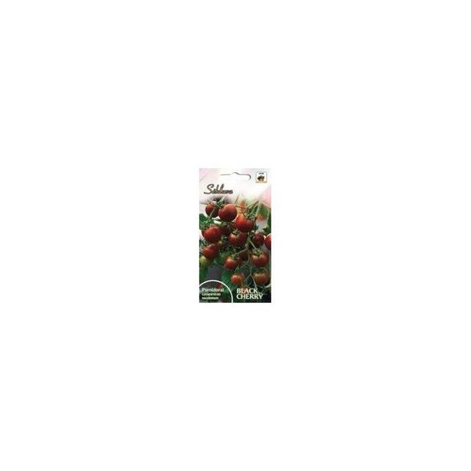 Tomāti (SEKLUVA) BLACK CHERRY 0.1g