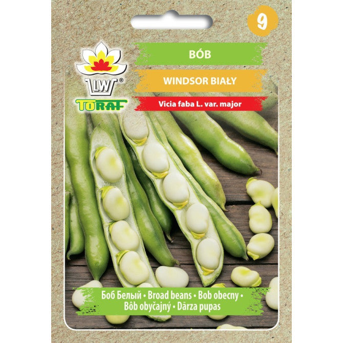 Pupas Windsor Bialy 50g PL730/64/10022/108 ST(PASE UZ PACIŅAS)