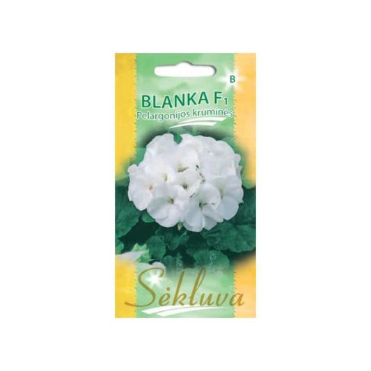 Pelargonijas BLANKA F1, 5 sēklas S.N.10376
