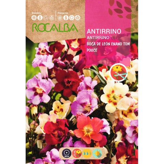 Lauvmutītes zemās(ROCALBA) 2g