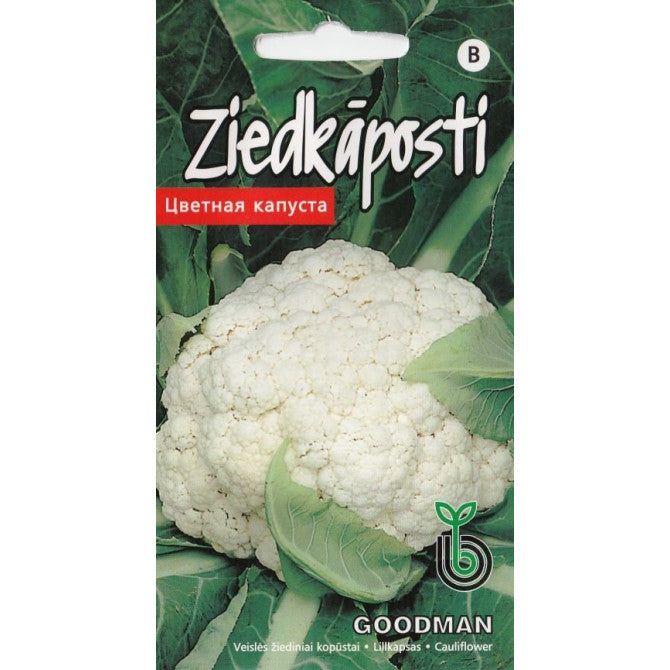 Ziedkāposti Goodman 30gab