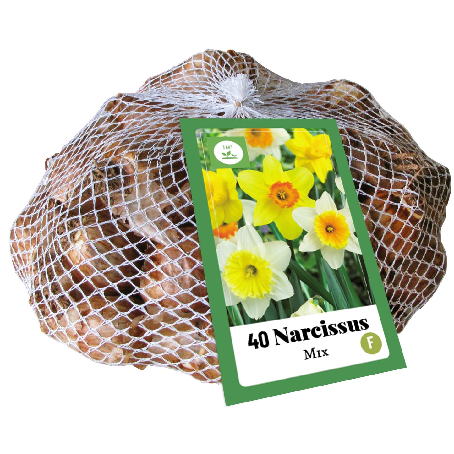 Narcise lielziedu Narcissus Grootkronig Mix 10/12 (40 gab. tīkliņā)