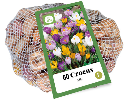 Krokuss Crocus Mix 7/8 (60 gab. tīkliņā)